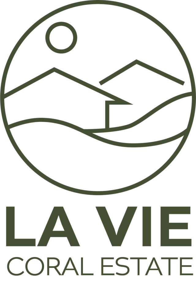 https://lavie-curacao.com/wp-content/uploads/2024/05/logoLVCE-1-640x930.png